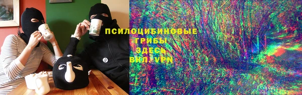 сатива Алексин